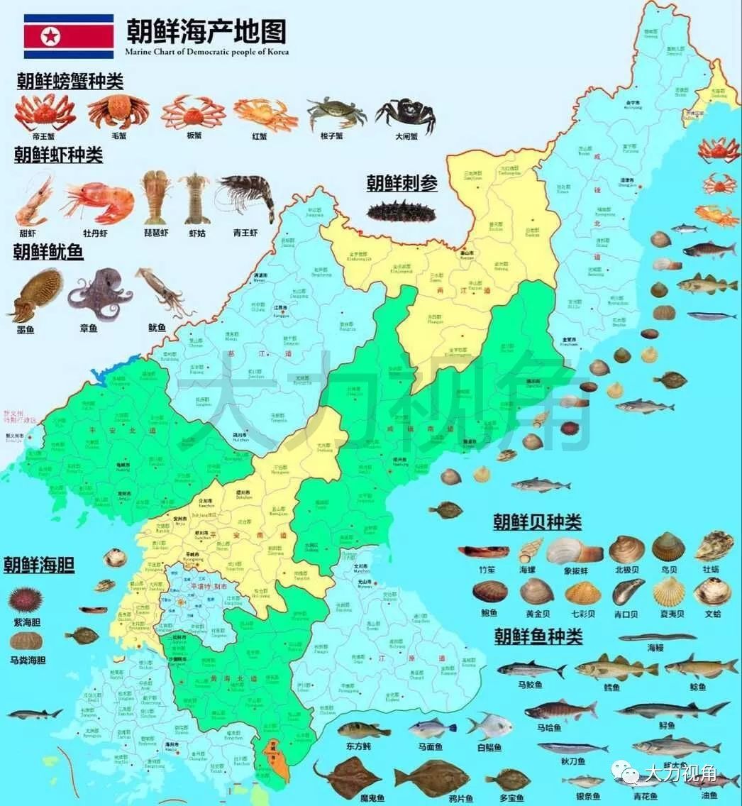 海洋知圈朝鲜海产地图拥有世界罕见的8600公里无污染海岸线海产资源